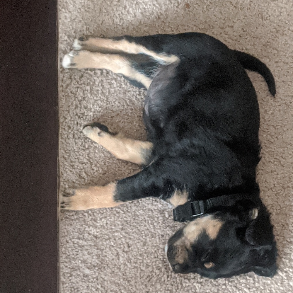 Meet your Posher, Shalonda